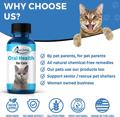 Cat Dental Care and Bad Breath Remedy - Natural Solution for Better Feline Oral Health by BestLife4Pets