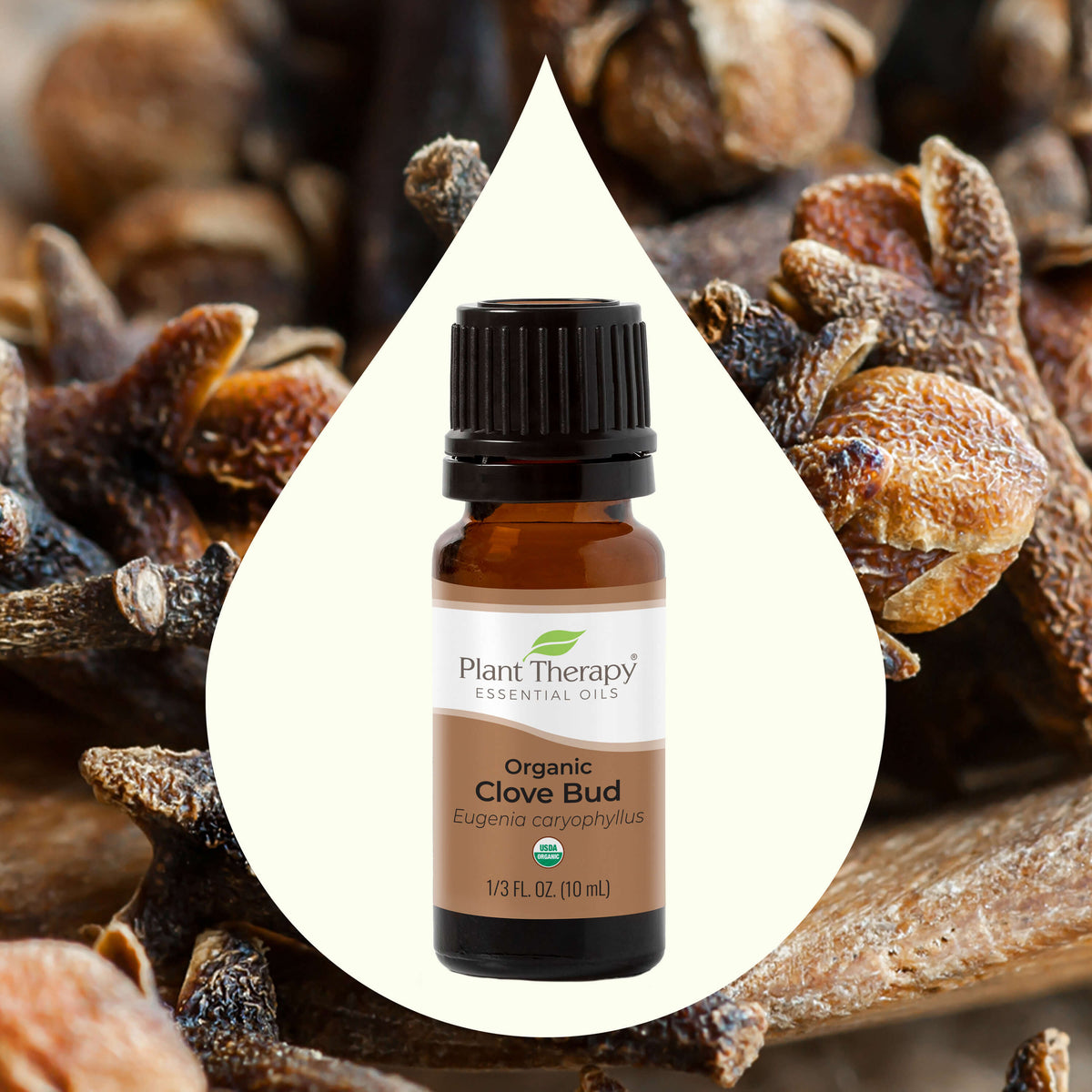 Organic Clove Bud Essential Oil