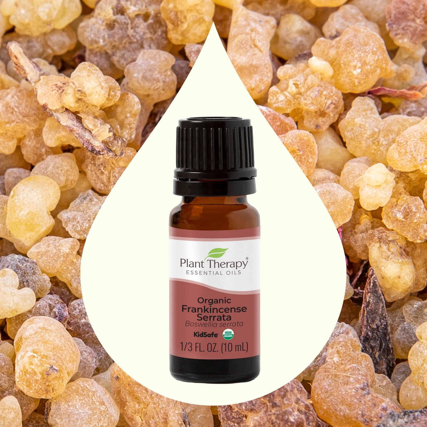 Organic Frankincense Serrata Essential Oil