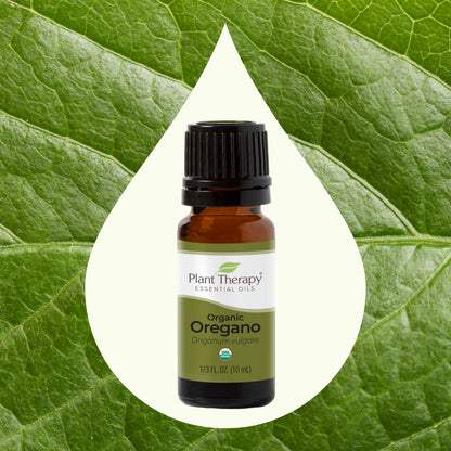 Organic Oregano Essential Oil