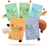 Wonder Discovery Flight