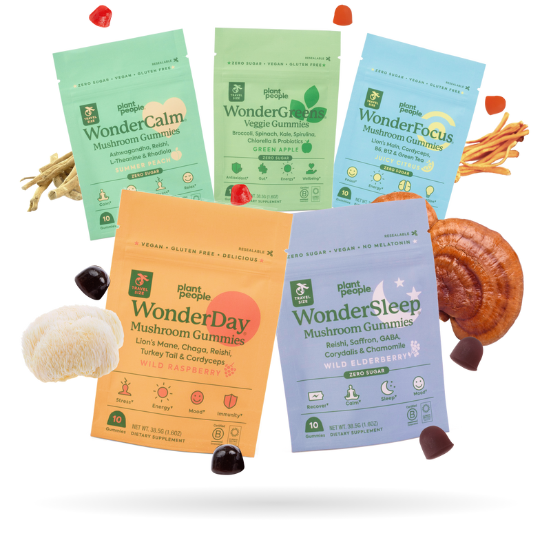 Wonder Discovery Flight