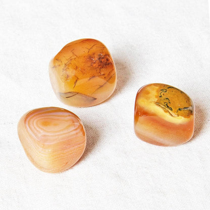 Carnelian Stone Set by Tiny Rituals