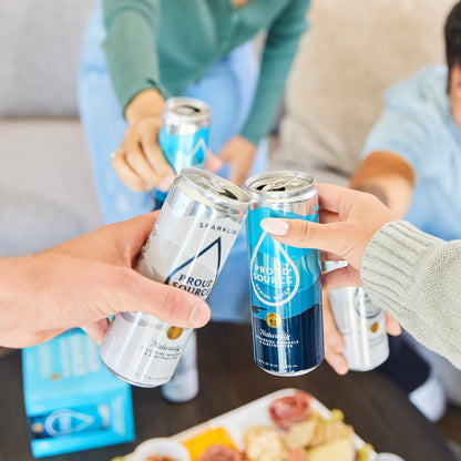 Sparkling Spring Water Cans