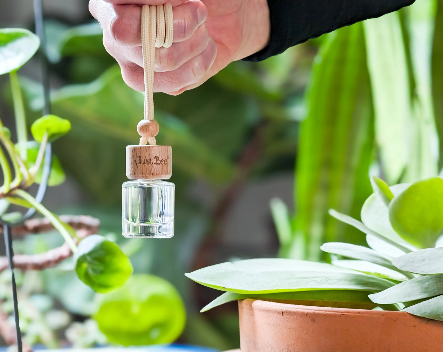 Small-Space Hanging Diffuser - Lavender Fig