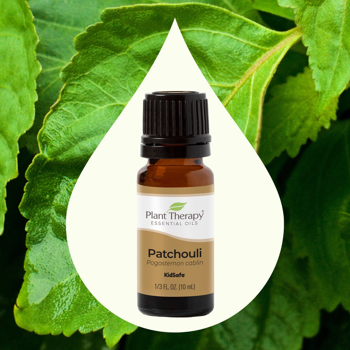 Patchouli Essential Oil