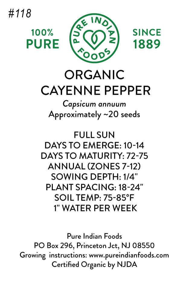 Organic Cayenne Pepper Seeds (Long Red Narrow)