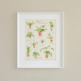 Plant Species Poster