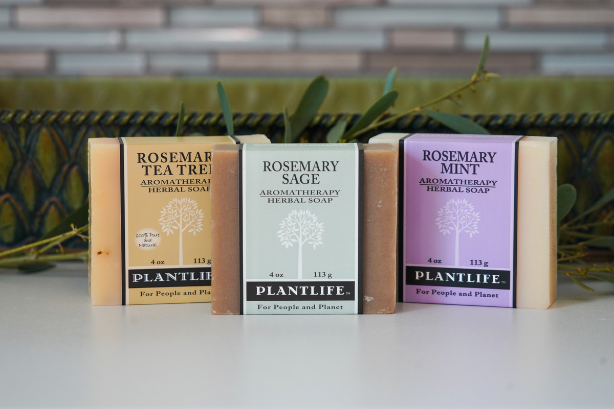 Rosemary Soap Bundle