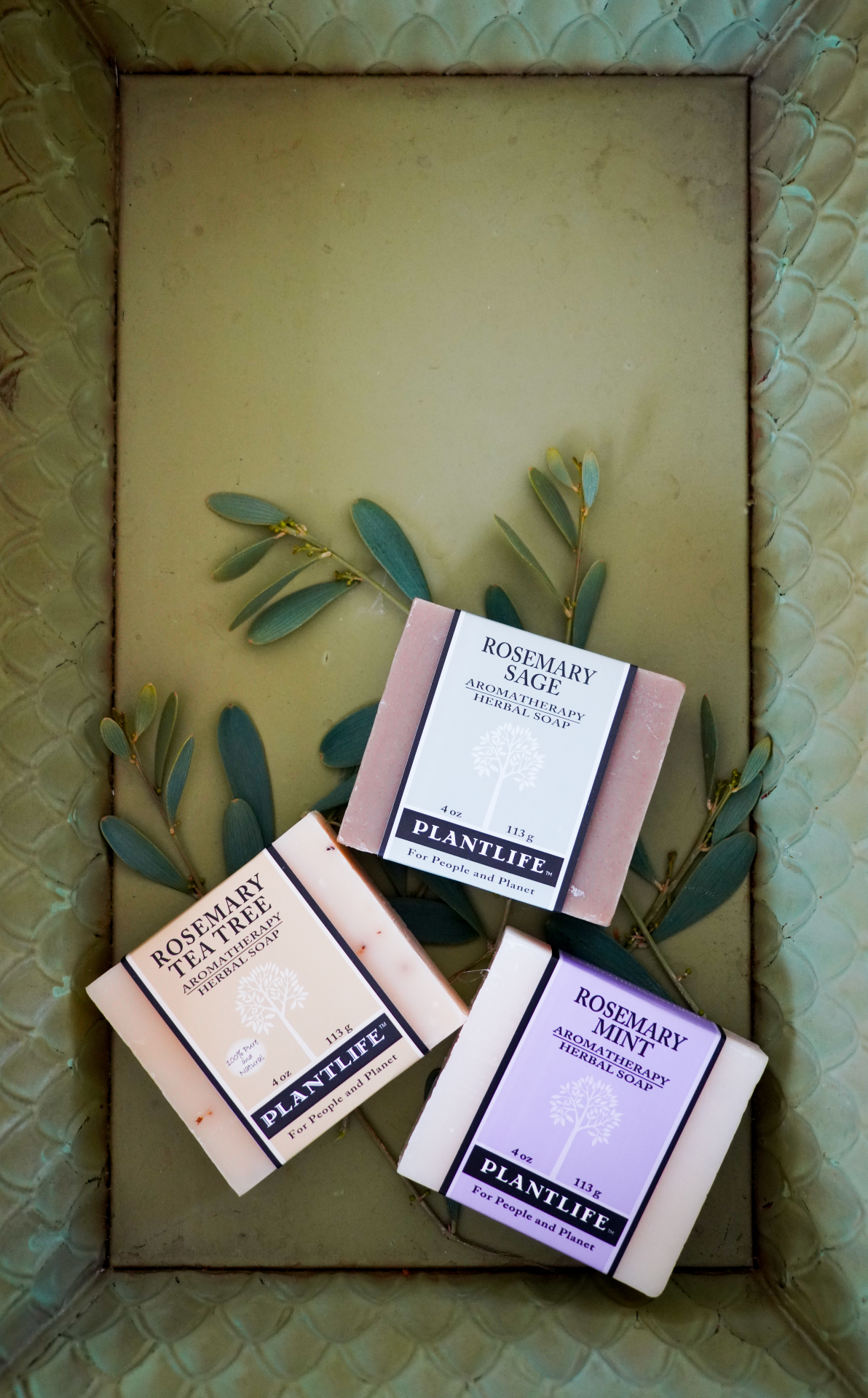 Rosemary Soap Bundle