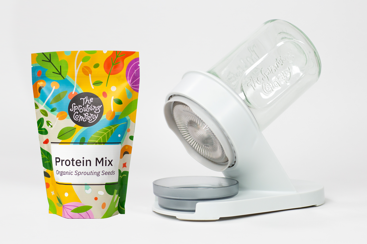 Starter Kit: Sweet Protein Mix 1lb