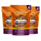 Pumpkin Fig Organic Sprouted Granola
