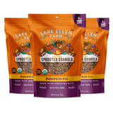 Pumpkin Fig Sprouted Granola
