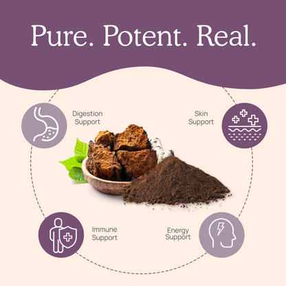 Organic Chaga Extract Capsules by Real Mushrooms