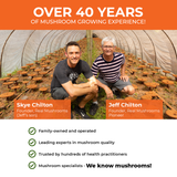 RealBoost - Cordyceps, Guayusa and Ginseng by Real Mushrooms