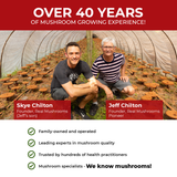 RealClarity - Lion's Mane, Ashwagandha, Rhodiola and Bacopa by Real Mushrooms