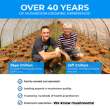 RealRest - Reishi, Valerian and Lemon Balm by Real Mushrooms