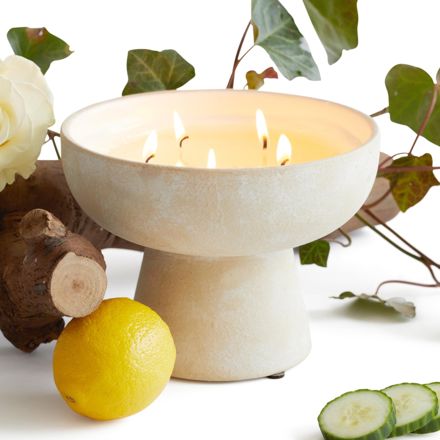 Renew - Ceramic Refillable Candle - Ivy & Rose