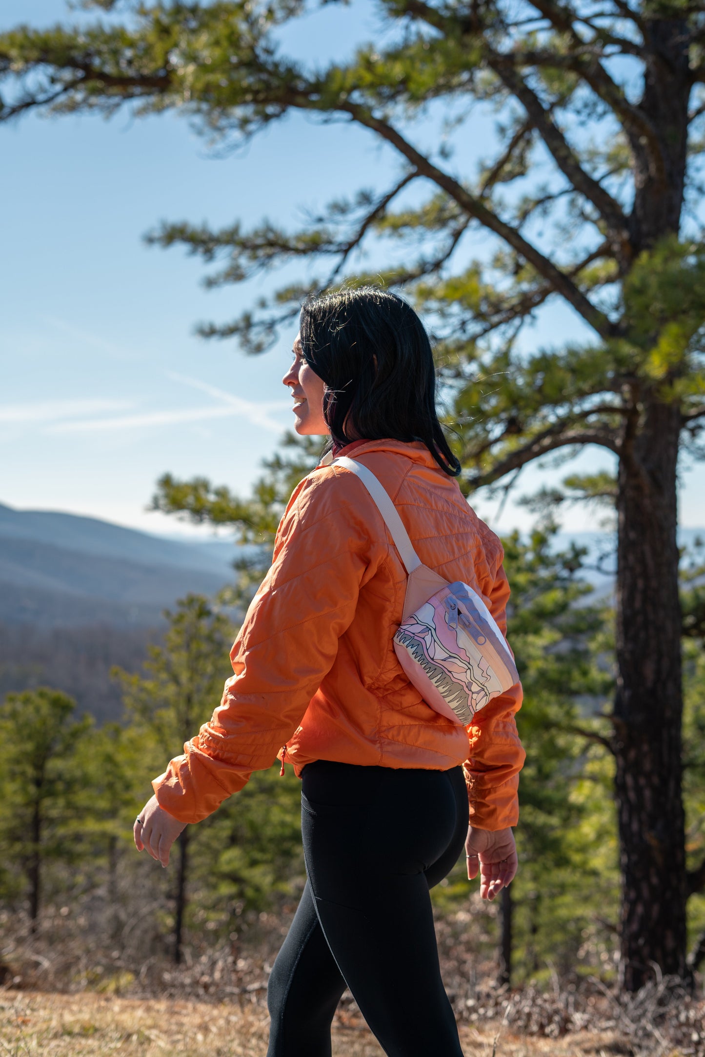 Rocky Mountain National Park Hip Pack