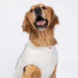 COOPER - UV AND COOLING TOP