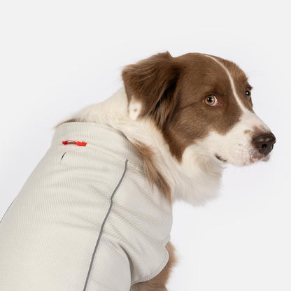 Cooper - Dog UV Protector and Cooling Top