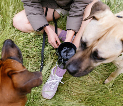 Flip Dog Travel Bottle