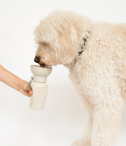 Flip Dog Travel Bottle