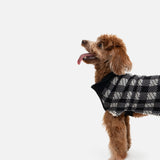 Theo Dog Sweater – Sherpa-Lined Plaid Design