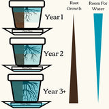 Watering Day™ System Starter Kit - Bamboo Fiber