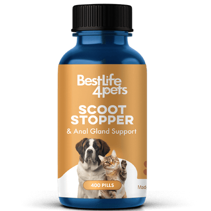 Scoot Stopper & Anal Gland Support for Dogs and Cats by BestLife4Pets