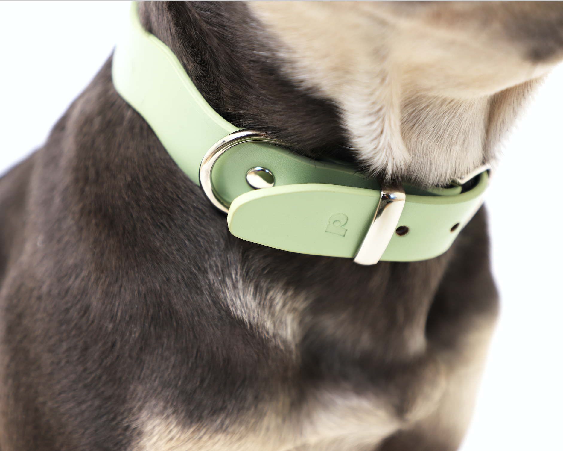 Dixie Vegan Leather Collar