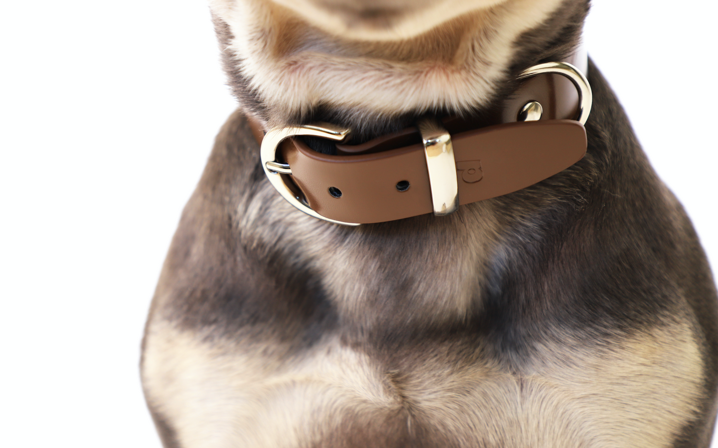 Dixie Vegan Leather Collar