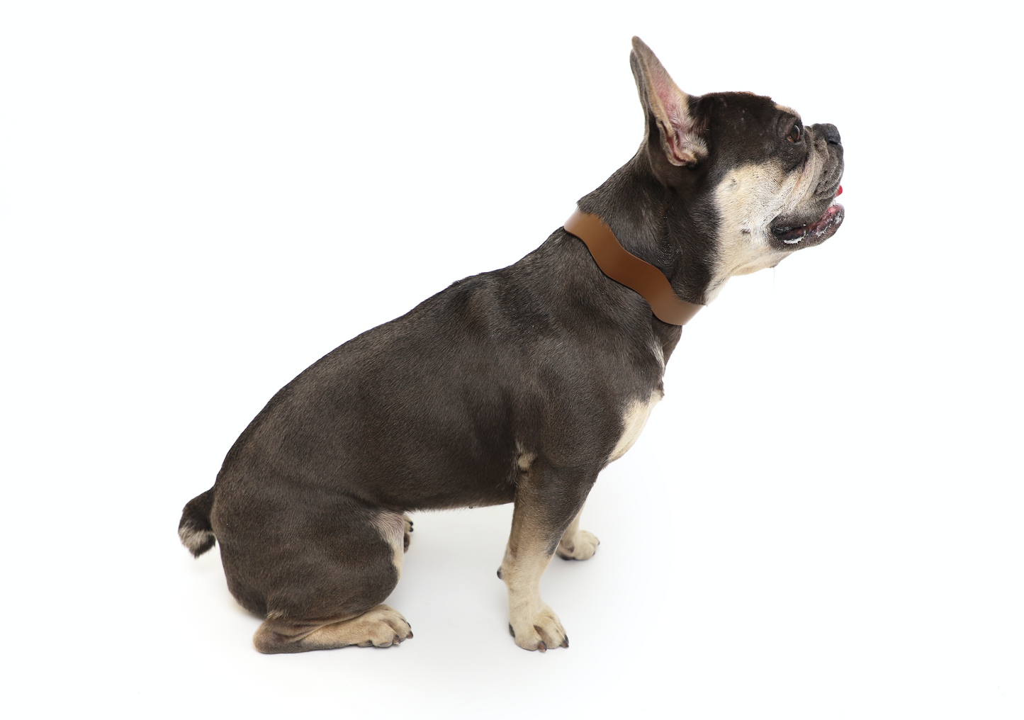 Dixie Vegan Leather Collar