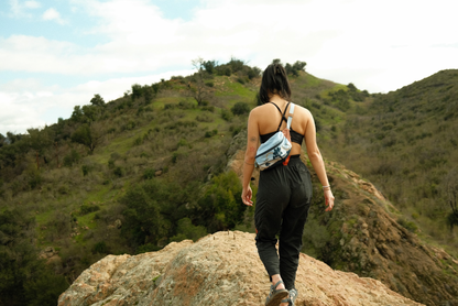 Joshua Tree National Park Hip Pack