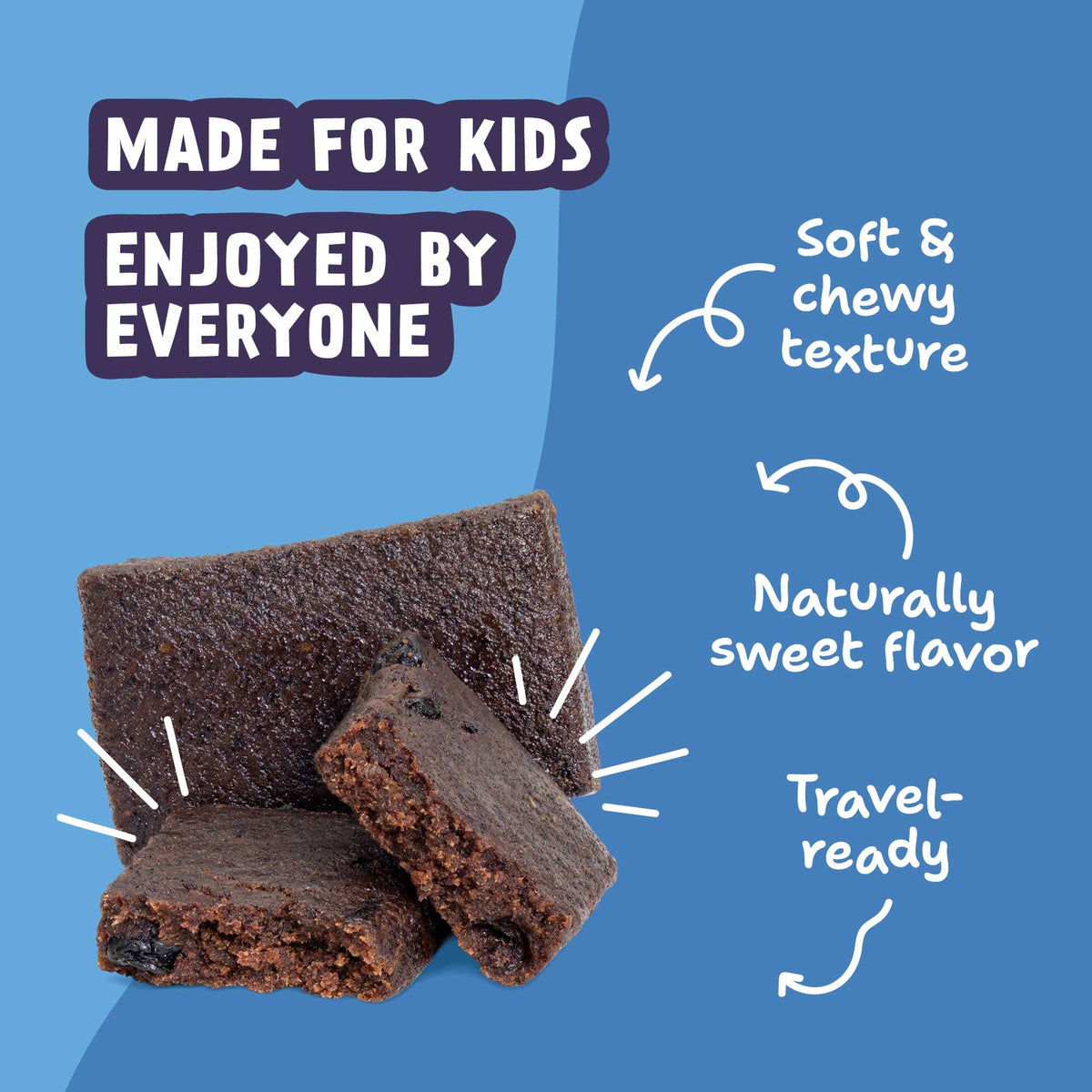 Skout Organic Small Batch Kids Fruit Bar Variety Pack