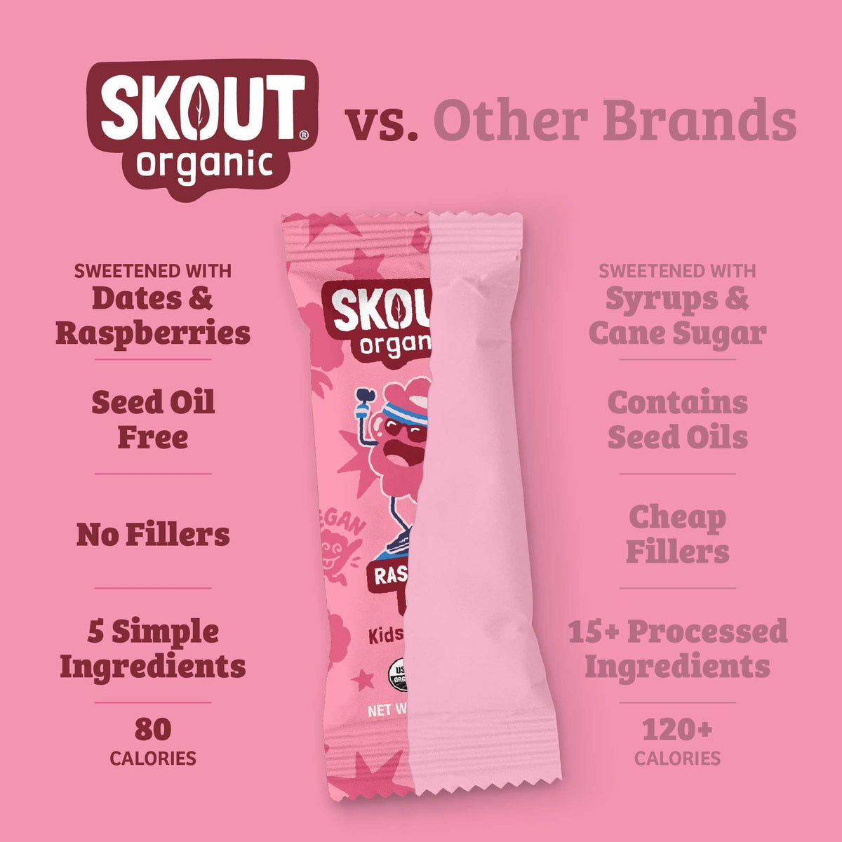 Skout Organic Small Batch Kids Fruit Bar Variety Pack