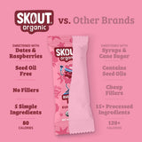 Skout Organic Small Batch Kids Fruit Bar Variety Pack