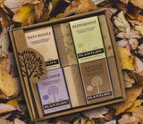 Soap Combo 4 Pack - Earth