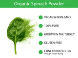 Organic Spinach Powder