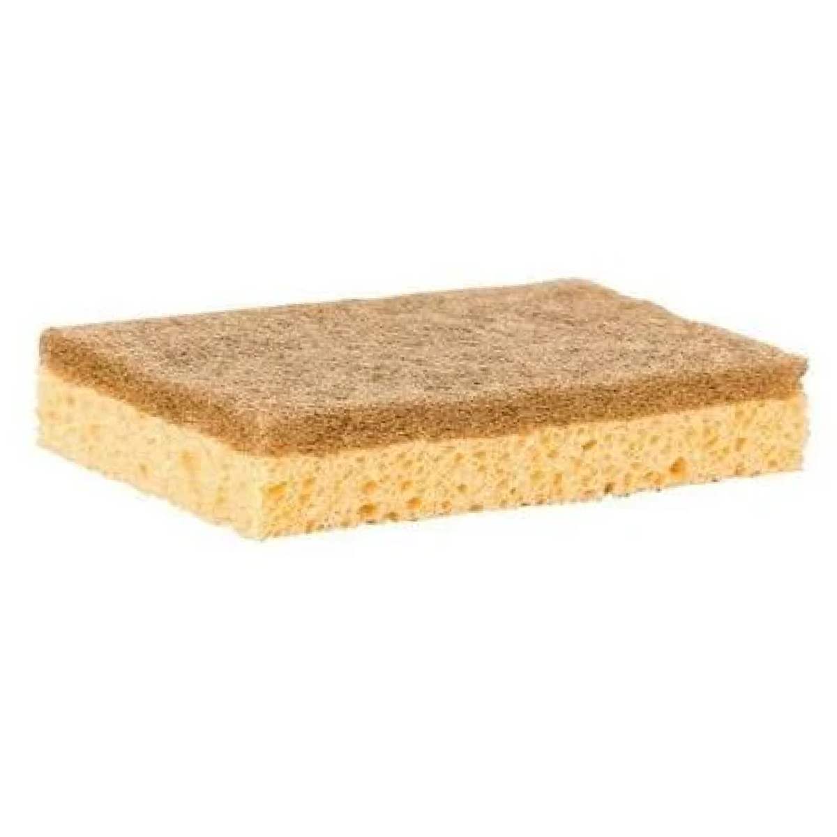 Sponge with Scourer