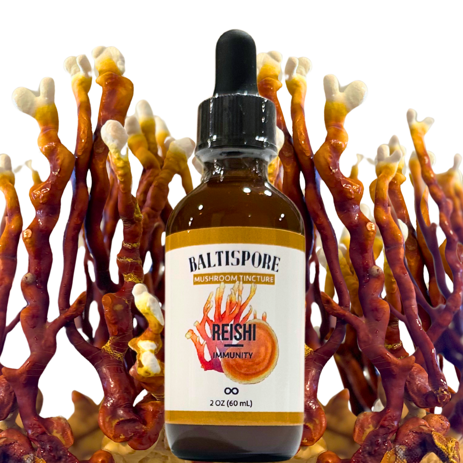 Reishi Mushroom Tincture