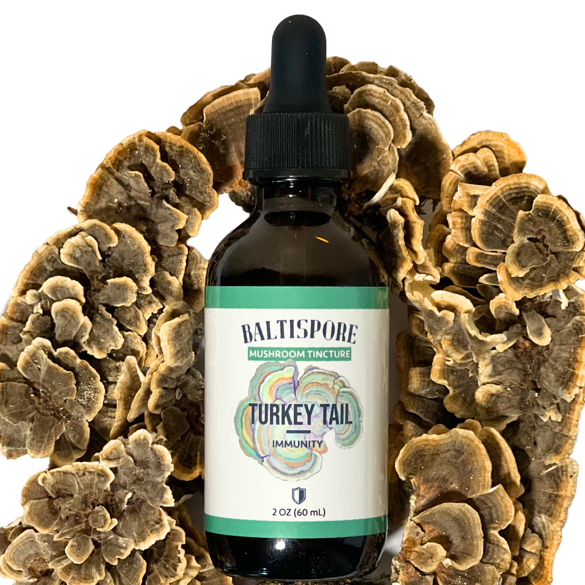 Turkey Tail Mushroom Tincture