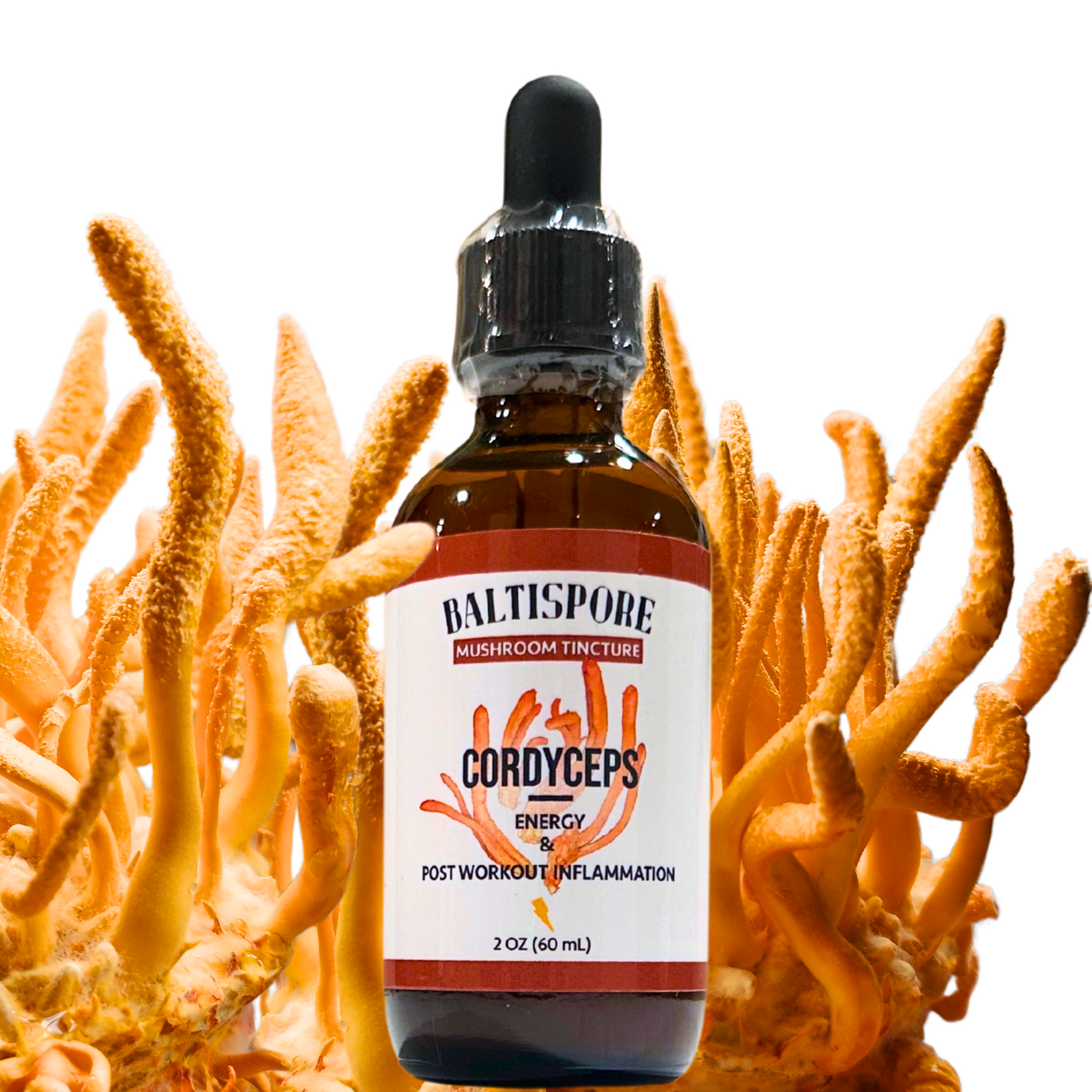 Cordyceps Mushroom Tincture