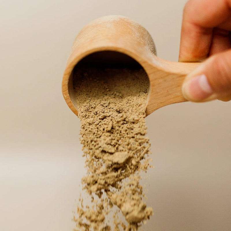 Himalayan Tartary Buckwheat Sprout Powder