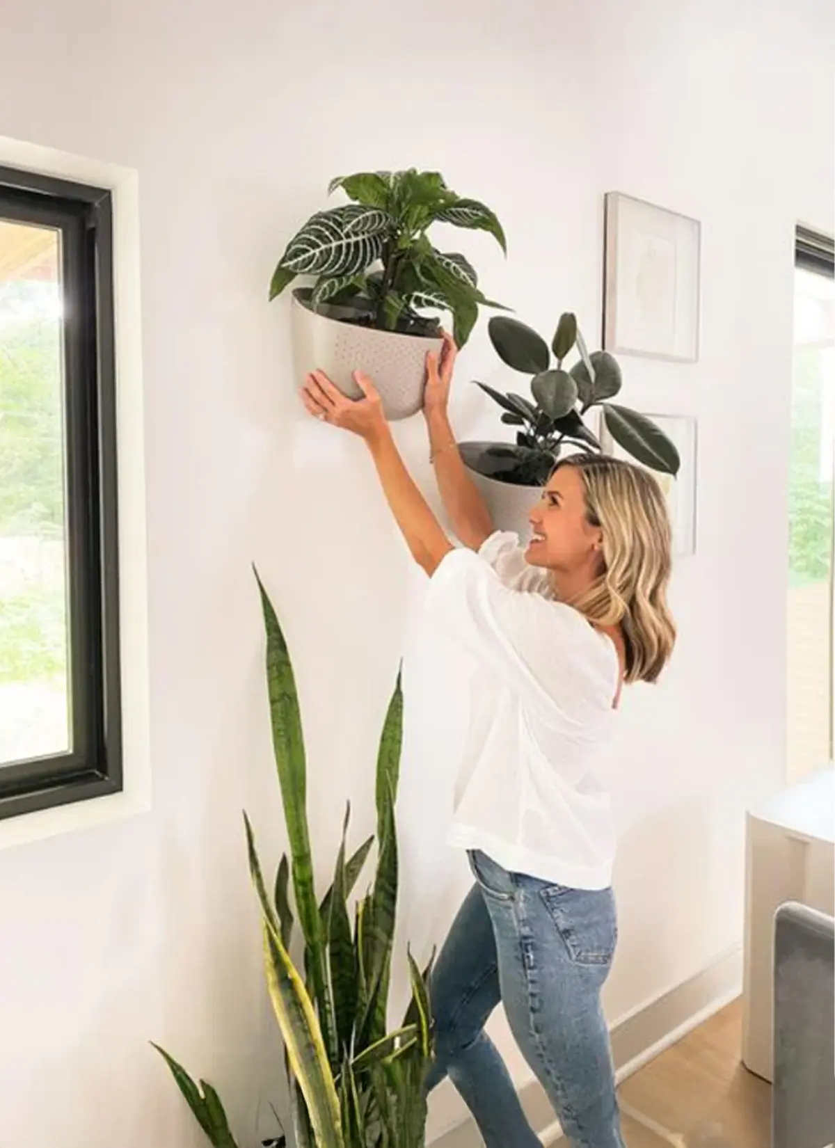 Wally Eco Wall Planter