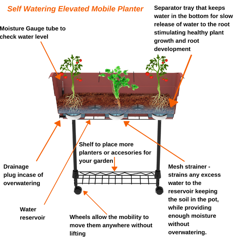 Elevated Mobile Planter by Watex