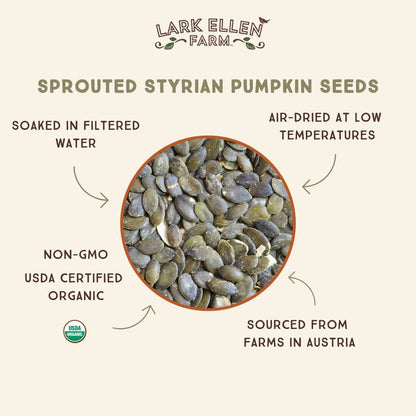 Sprouted Styrian Pumpkin Seeds. Organic