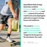 Daily Energy Gummies 60 Count