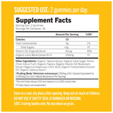 Organic Lion's Mane Gummies by Mush More Co