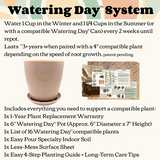 Watering Day™ System Starter Kit - Bamboo Fiber
